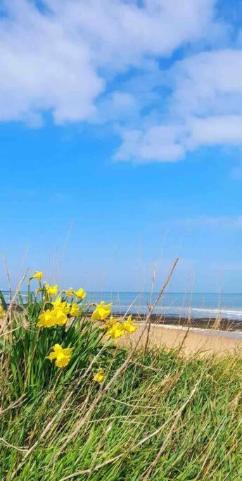 Herne Bay Central - 2 Minutes From Beach Apartment Exterior photo